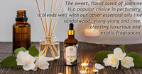 Luxurious JASMINE Essential Oil |Therapeutic Grade|Organic & Natural |Ultra Premium and Concentrated Essential Oil for Home, Diffusers, Skin, Aromatherapy, Bath, Massage,Humidifiers, Soap and Candle making| 30 ml