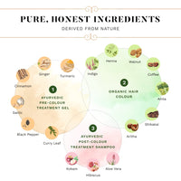 SESA 3 Step Natural Hair Colour Kit - For FIRST GREYS - 100% Organic & Ayurvedic - NO Ammonia, PPD, Peroxide