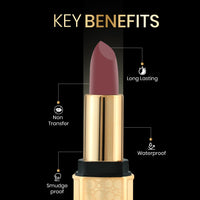 Beauty Berry Bold Babe Non-Transfer Matte Lipstick | Highly Pigmented, Lightweight, Smudge Proof & Waterproof Lipstick | Single Swipe Application, Long Lasting Lipstick for Women (Wild Mehroon)