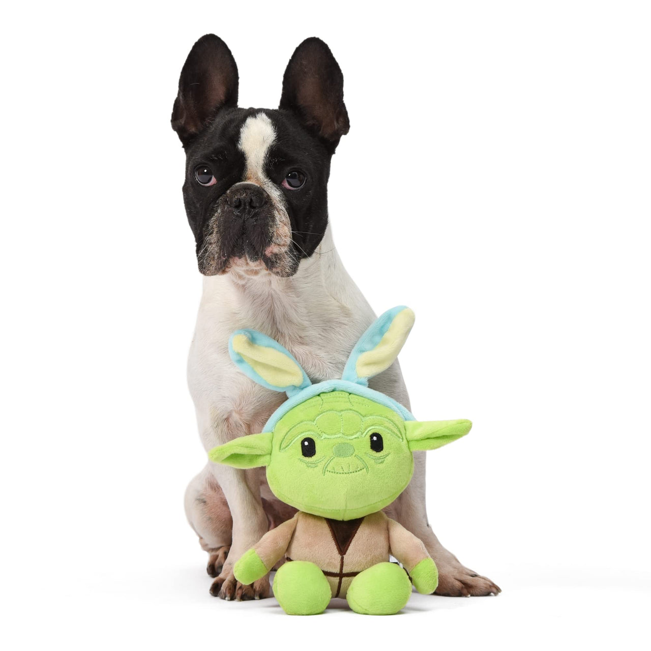 Star Wars : Easter 9" Yoda Bunny Squeaker Pet Toy| 9” Star Wars Plush Squeaker Easter Yoda Pet Toys | Star Wars Toy for Dogs Easter Stuffed Yoda 9 inch