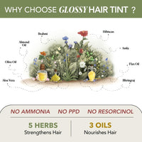 Paradyes No Bleach Lover's Latte Glossy Hair Tint, Ammonia-Free Formula for Natural Black Hair, Visible on Natural Black Hair, Includes Anti-Fade Conditioner for Long-Lasting Shine, Golden Brown