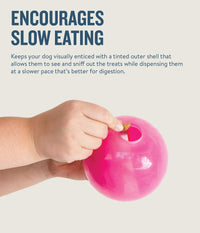 Planet Dog Orbee-Tuff Mazee Interactive Treat Dispensing Puzzle Dog Toy, Pink