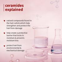 Plum Hibiscus & Ceramides Long & Healthy Shampoo | Hydrates & Conditions Hair, Prevents Split Ends |Contains Hibiscus Extracts, Ceramides | SLS & Paraben Free| 100% Vegan | 250ml