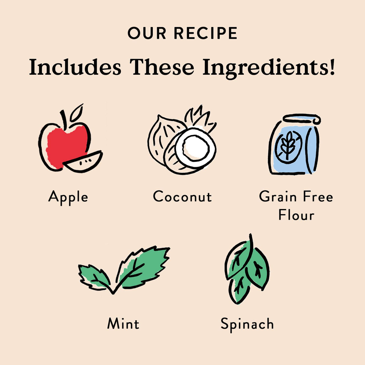 Bocce's  Bakery Dailies Brushy Sticks to Support Oral Health & Fresh Breath, Wheat-Free Dental Bars for Dogs, Made with Real Ingredients, Baked in The USA, All-Natural Coconut & Mint, Medium Dogs