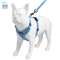 Voyager Step-in Lock Dog Harness w Reflective Dog Leash Combo Set with Neoprene Handle 5ft - Supports Small, Medium and Large Breed Puppies/Cats by Best Pet Supplies - Baby Blue, XS