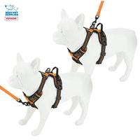 Voyager Dog Harness Dual Leash Attachment No-Pull Control Adjustable Soft but Strong Pet Harness for Medium and Large Dogs with 3M Reflective Technology - Harness Leash Set (Orange), S