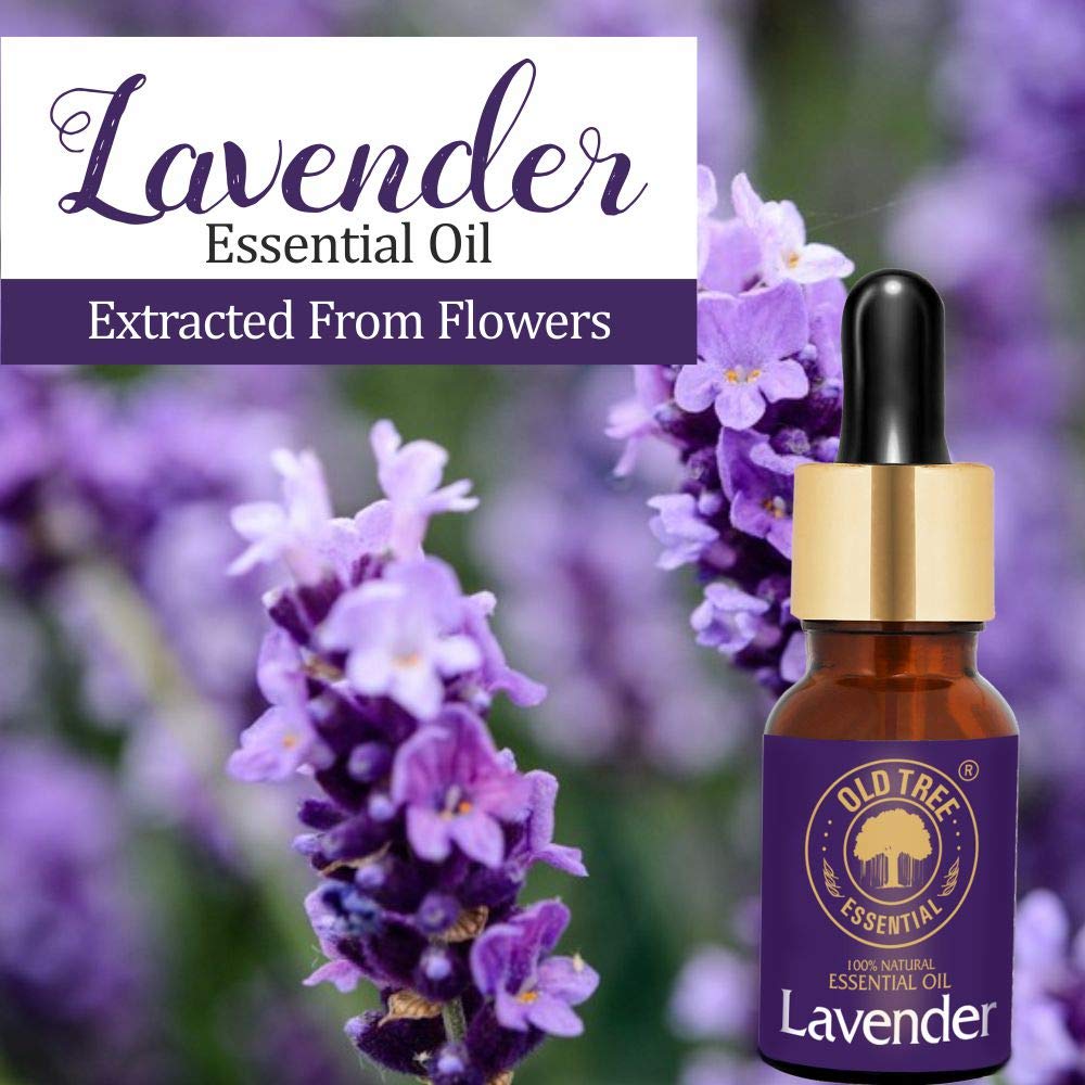 Old Tree Lavender Essential Oil for Home Fragrance (15ml) - Pure & Natural Lavender Oil for Skin, Hair growth, Sleep, Diffuser, Soap Making - Essential Oil with Dropper for Aromatherapy and Relaxation