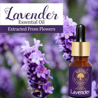 Old Tree Lavender Essential Oil for Home Fragrance (15ml) - Pure & Natural Lavender Oil for Skin, Hair growth, Sleep, Diffuser, Soap Making - Essential Oil with Dropper for Aromatherapy and Relaxation