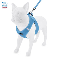 Voyager Step-in Air All Weather Mesh Harness and Reflective Dog 5 ft Leash Combo with Neoprene Handle, for Small, Medium and Large Breed Puppies by Best Pet Supplies - Blue, XX-Small XXS (Chest: 11.5 - 13