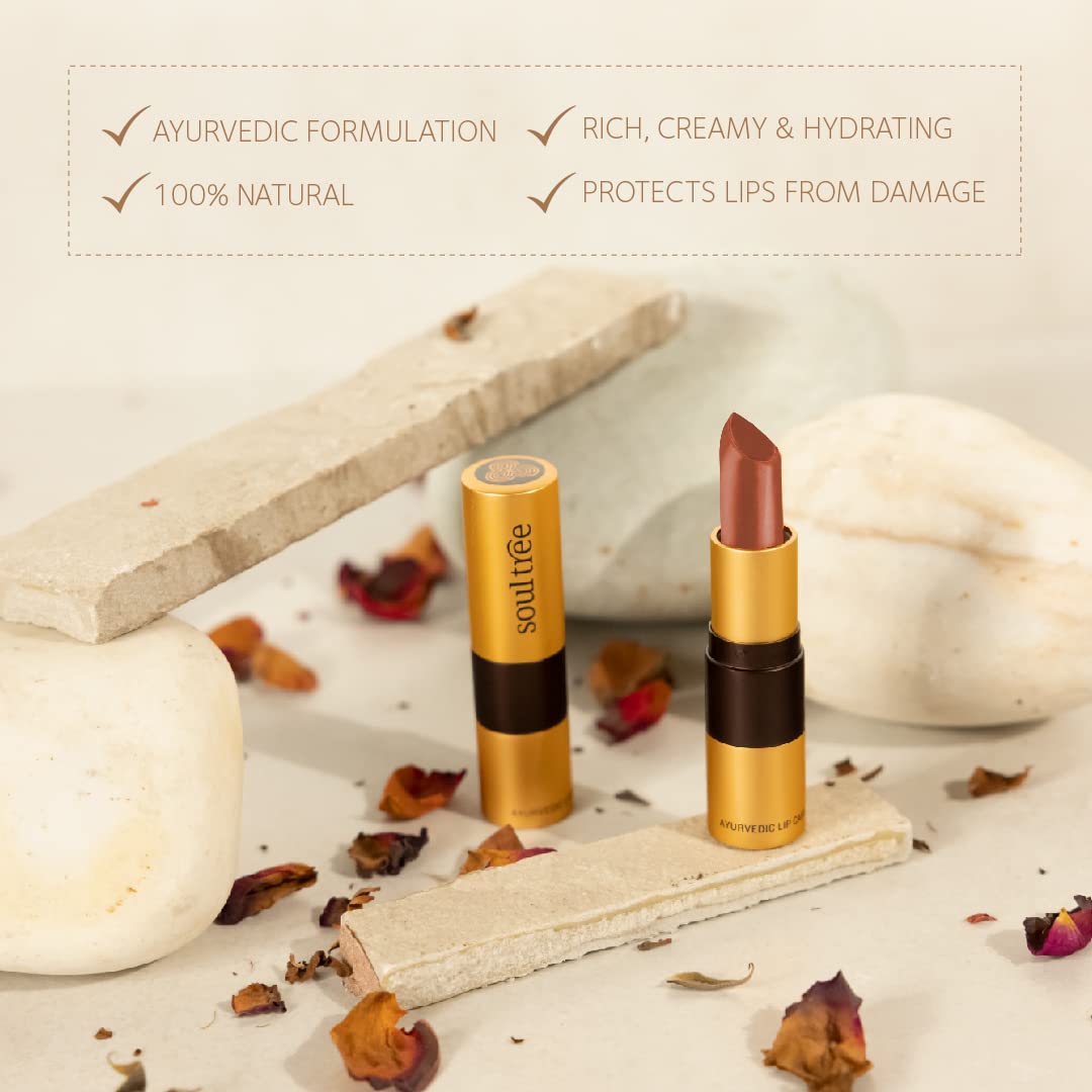 SoulTree Ayurvedic Lipstick - Cantaloupe 817, 4gm | Creamy Texture | Enriched with Organic Ghee & Almond Oil | Moistured & Nourished Lips | 4gm