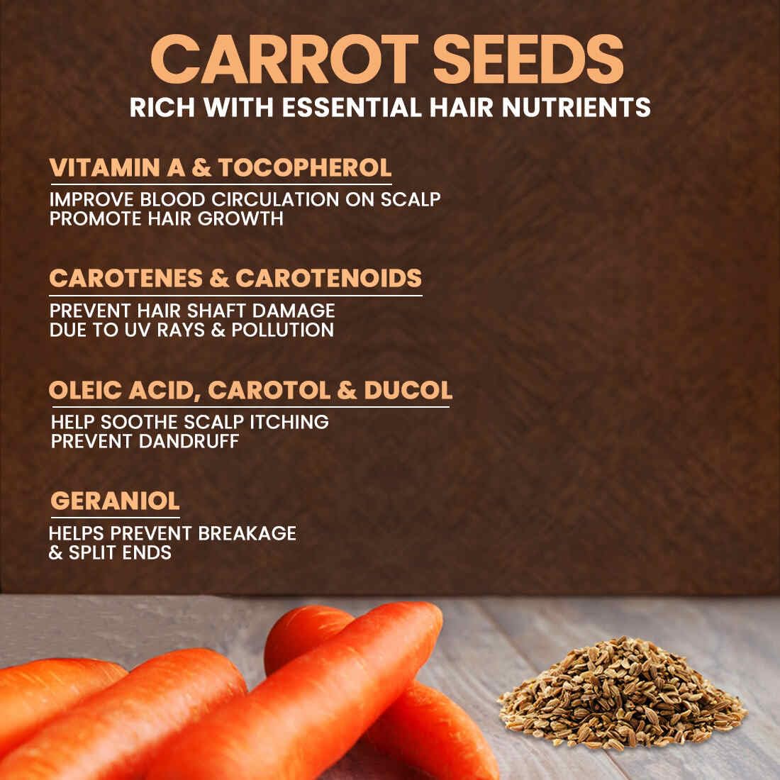 NEUD Carrot Seed Premium Hair Oil for Men & Women - 300 ml, Natural Carrot, Pack of 1