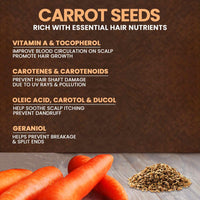 NEUD Carrot Seed Premium Hair Oil for Men & Women - 300 ml, Natural Carrot, Pack of 1