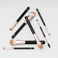 PAC Beginner Basic Face & Eye Brush Kit