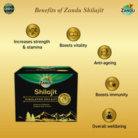 Zandu Pure Himalayan Shilajit Resin, 20g (Pack of 1) | Natural & Ayurvedic| Helps Enhance Strength & Stamina | Maintains Overall Holistic Wellness