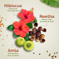 Mamaearth Kerala Thaali Hair Care Kit (Kerala Thaali Hair Oil - 150 ml + Kerala Thaali Shampoo - 250 ml + Kerala Thaali Conditioner - 250 ml) Goodness of 12 Herbs | Kerala’s Generational Expertise