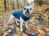 Gooby Zip Up Fleece Dog Sweater - Turquoise Wash, Large - Warm Pullover Fleece Step-in Dog Jacket with Dual D Ring Leash - Winter Small Dog Sweater - Dog Clothes for Small Dogs Boy and Medium Dogs Large chest (~20
