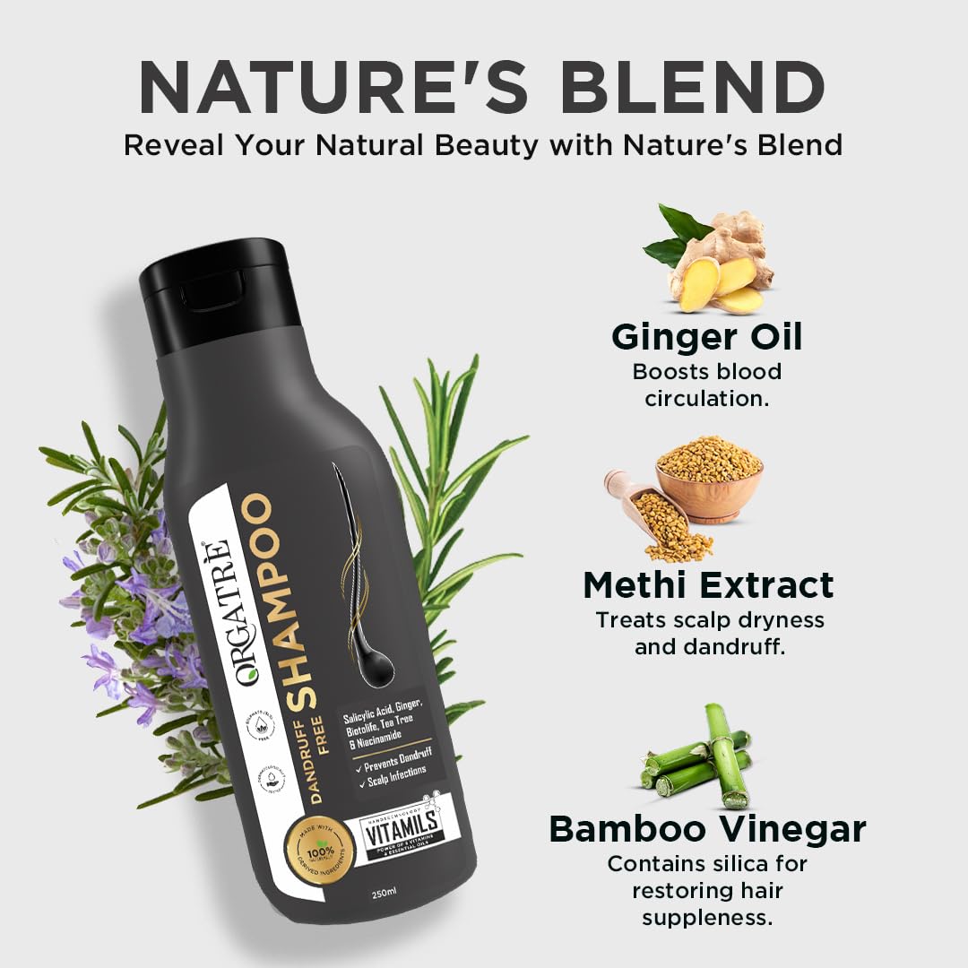 Orgatre Tea Tree, Ginger & Rosemary Anti-Dandruff Shampoo - 250ml | Soothes Scalp & Reduces Flakes | No Dryness | For All Hair Types | Men & Women