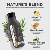 Orgatre Tea Tree, Ginger & Rosemary Anti-Dandruff Shampoo - 250ml | Soothes Scalp & Reduces Flakes | No Dryness | For All Hair Types | Men & Women