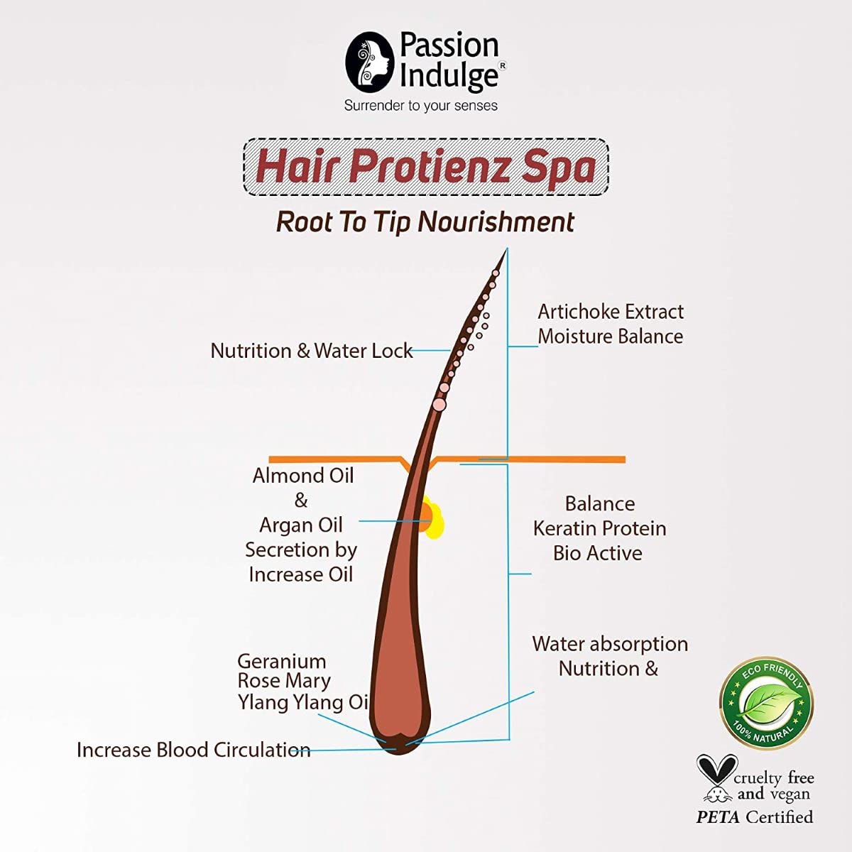 Passion Indulge Aloe Tree 2 in 1 Conditioning Shampoo 200ml & Hair Proteinz Spa Inbuilt Protein Booster 100gm Combo Pack For Nutrition for Hair | Repair Damaged Hair | Anti Dandruff With Aloe Vera & Argan Oil | Natural & Vegan