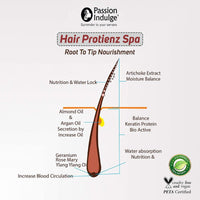 Passion Indulge Aloe Tree 2 in 1 Conditioning Shampoo 200ml & Hair Proteinz Spa Inbuilt Protein Booster 100gm Combo Pack For Nutrition for Hair | Repair Damaged Hair | Anti Dandruff With Aloe Vera & Argan Oil | Natural & Vegan