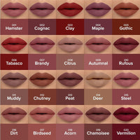 Forever52 I'm Unlimited Lipstick | Long-lasting Waterproof Matte Nude Lipstick| Vegan| Cruelty Free| (Steel - 015)