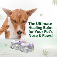 Hampa Hemp Balm for Pets 50g | Nourishing and Moisturizing Balm for Dogs & Cats | Soothes Dry, Cracked Skin, Paws, & Nose | Natural Ingredients with Hemp Seed Oil, Lavender Oil & Biotin