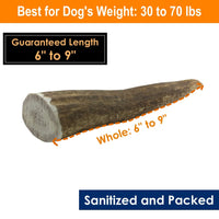 Elk Antler Chews for Dogs | Naturally Shed USA Collected Elk Antlers | All Natural A-Grade Premium Elk Antler Dog Chews | Product of USA, 1-LB Large Cuts Large (Pack of 1-LB)