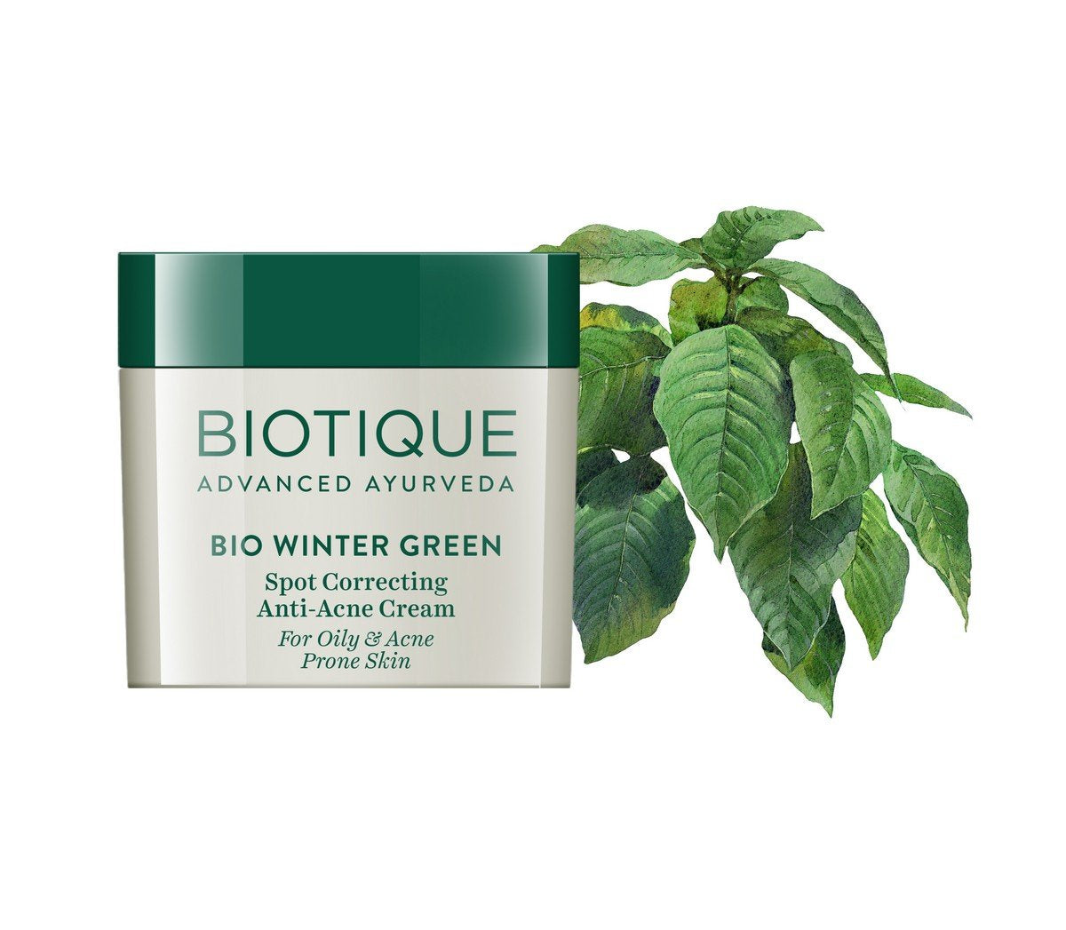 Biotique Bio Fruit Whitening Lip Balm, 12g And Biotique Bio Winter Green Spot Correcting Anti Acne Cream, 15g