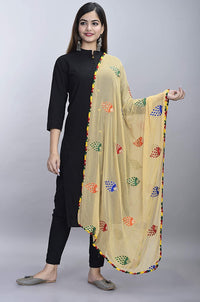 DIAMO Women's  Phulkari Chiffon Dupatta