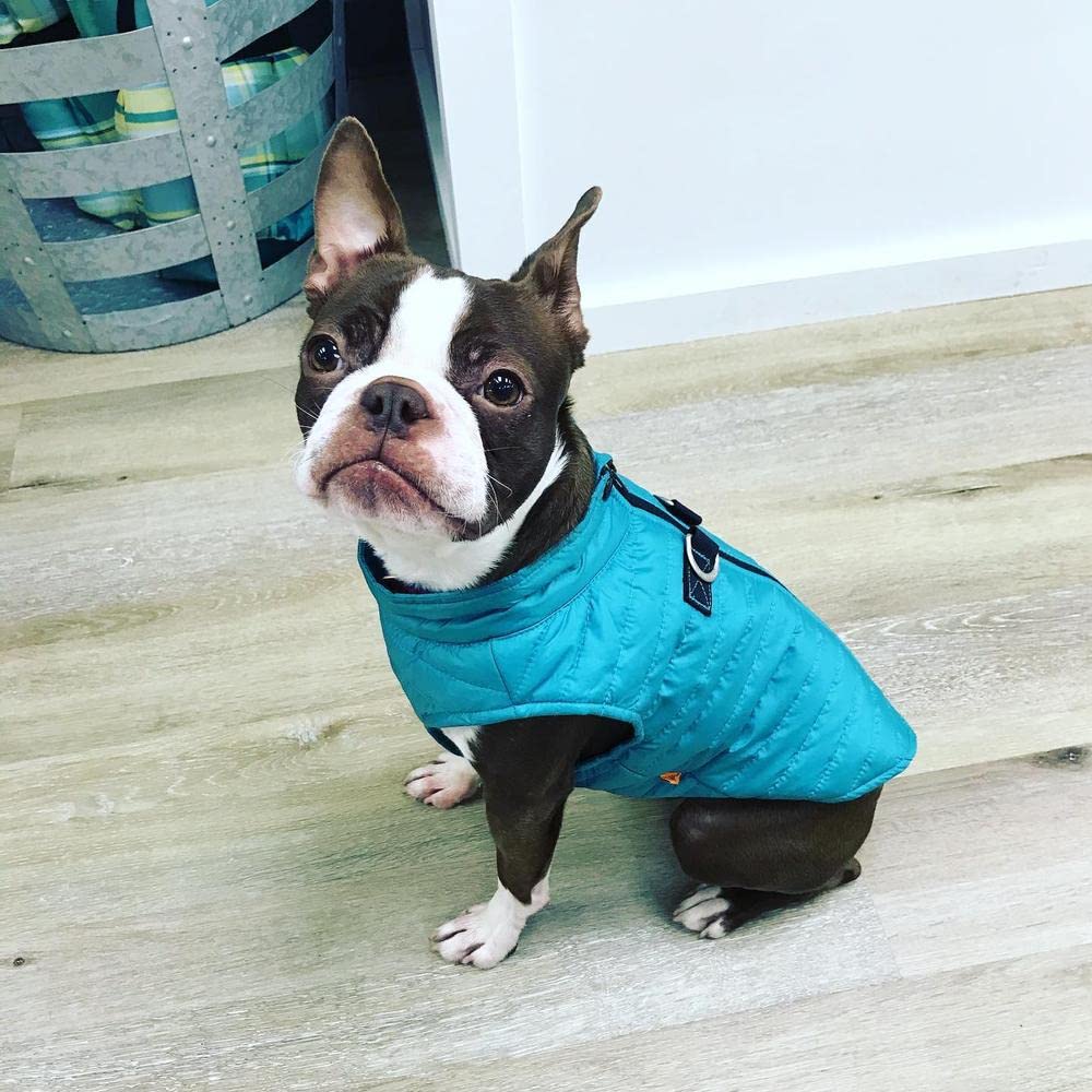 Gooby Puffer Vest Dog Jacket - Turquoise, Large - Ultra Thin Zip Up Wind Breaker with Dual D Ring Leash - Water Resistant Small Dog Sweater Coat - Dog Clothes for Small Dogs Boy or Medium Dogs Large chest (20.75")