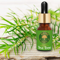 Old Tree Pure & Natural Tea Tree Essential Oil (15ml) - for Skin, Diffusers, Hair, Body, Acne, Nail care - Undiluted Essential Oil with Dropper for Aroma Therapy and Stress Relief