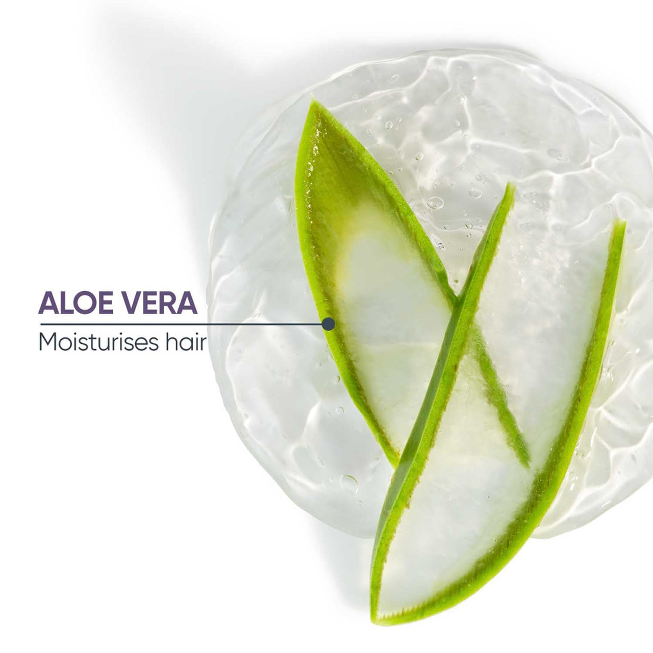 Biolage Professional Hydrasource Anti-Dryness Shampoo, Hydrates and Moisturizes Dry Hair, Enriched with Aloe, Vegan & Cruelty-Free, 200ml