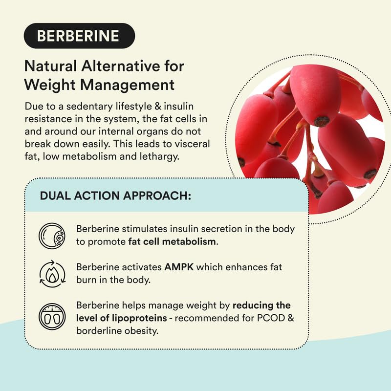 Bloom Berberine + L-Carnitine Effervescent Tablets | 60 Effervescent Tablets (Pack of 4) | Natural Formula for Weight Management | Turns Fat into Active Energy | Strawberry Flavour