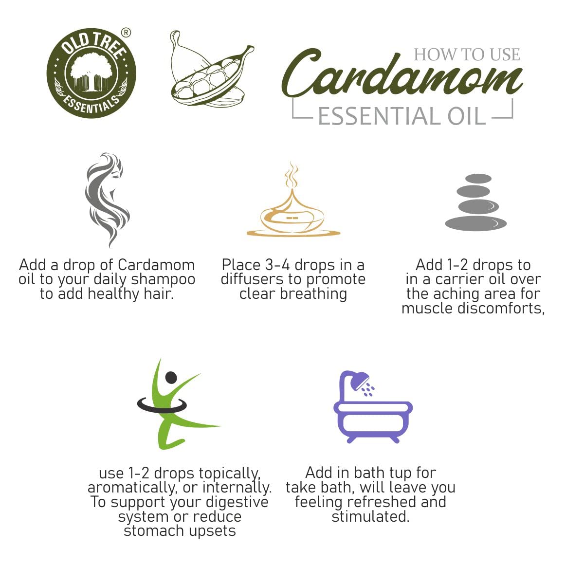 Old Tree Cardamom (Elaichi) Essential Oil (15ml) - For Skin, Hair Care, Fragrance, Soap Making, and Aromatherapy - Pure, Natural and Undiluted Perfume Oil with Glass Dropper