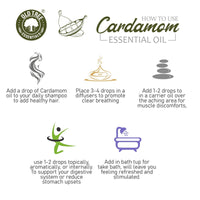 Old Tree Cardamom (Elaichi) Essential Oil (15ml) - For Skin, Hair Care, Fragrance, Soap Making, and Aromatherapy - Pure, Natural and Undiluted Perfume Oil with Glass Dropper