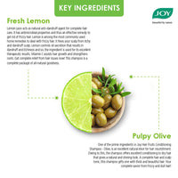 Joy Hair Fruits Hair Dryness Control Conditioning Shampoo Enriched with Lemon & Olives, 340 ml