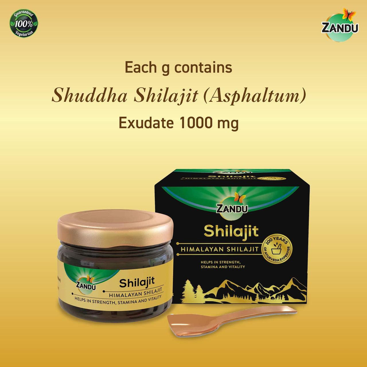 Zandu Pure Himalayan Shilajit Resin, 20g (Pack of 1) | Natural & Ayurvedic| Helps Enhance Strength & Stamina | Maintains Overall Holistic Wellness