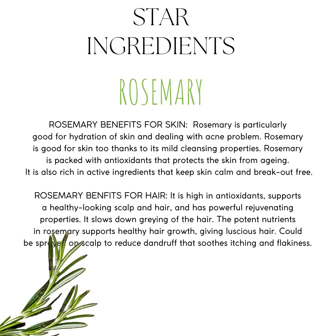 EcoBerry Pure Steam Distilled Rosemary Hydrosol Toning Facial Mist Unblocks Pores, Improves Skin Tone, Promotes Healthy Hair, Reduces Grey Hair & Dandruff,100% Preservative Free, Natural, Vegan