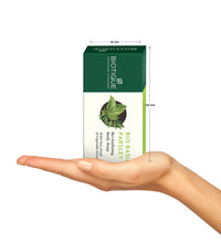 Biotique Bio Kelp Protein Shampoo for Falling Hair Intensive Hair Regrowth Treatment, 340ml & Biotique Basil And Parsley Revitalizing Body Soap, 150g