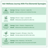 Singular Ever Guard Hair Oil for Men & Women | Hair Growth & Hair Fall Control | Cold-Pressed Blend of Argan, Almond, Bhringraj, Rosemary Oil & Vitamin E - 100 ml