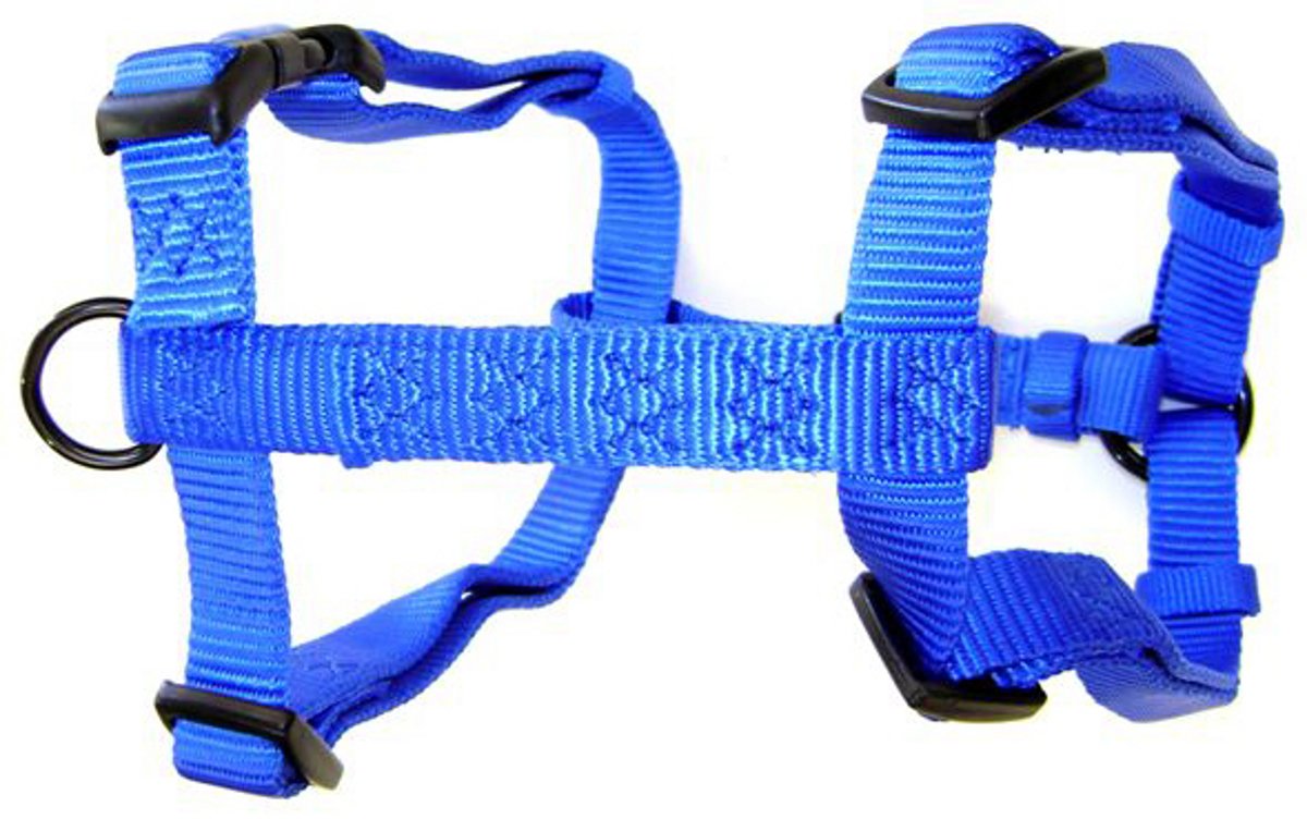 Hamilton Adjustable Comfort Nylon Dog Harness, Blue, 1" x 40-50"