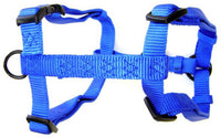 Hamilton Adjustable Comfort Nylon Dog Harness, Blue, 1