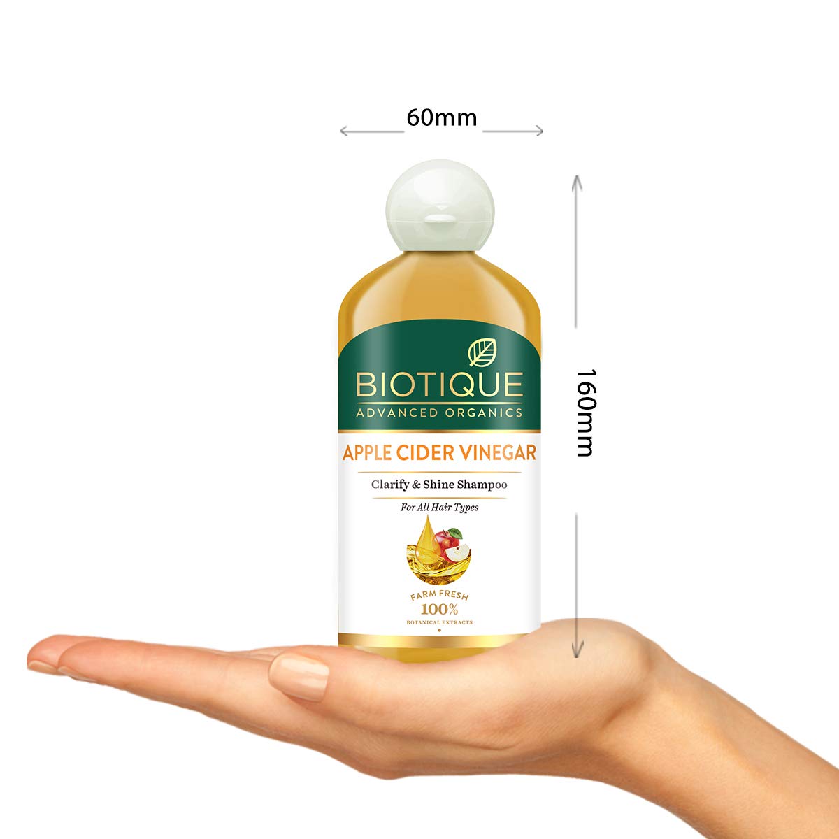 Biotique Apple Cider Vinegar Hair Shampoo, for All Hair Types, 300ml