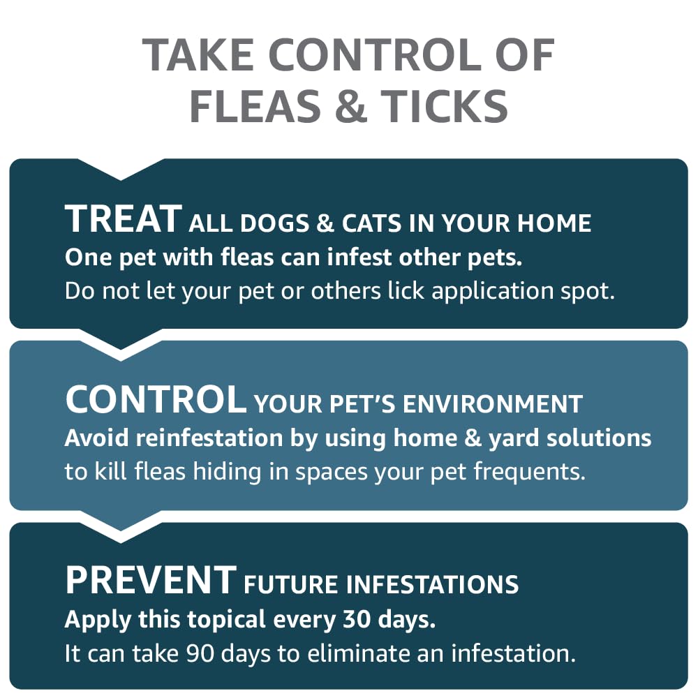Basics Flea, Tick & Mosquito Topical for X-Large Dog (over 55 pounds), 4 Count