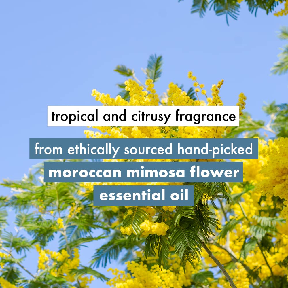 Love Beauty & Planet Coconut Water and Mimosa Flower Sulfate Free Volume and Bounty Shampoo|| No Parabens|| No Dyes|| 100% Organic Coconut Oil|| 400ml