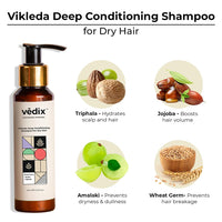 Vedix Customized Hair Fall Control Regimen For Dry Hair - Oily Scalp & Wavy Hair - 3 Product Kit - Anti Hair Fall Oil Neem + Lotus - Vithan Pro Hair Growth Serum, 540 Grams