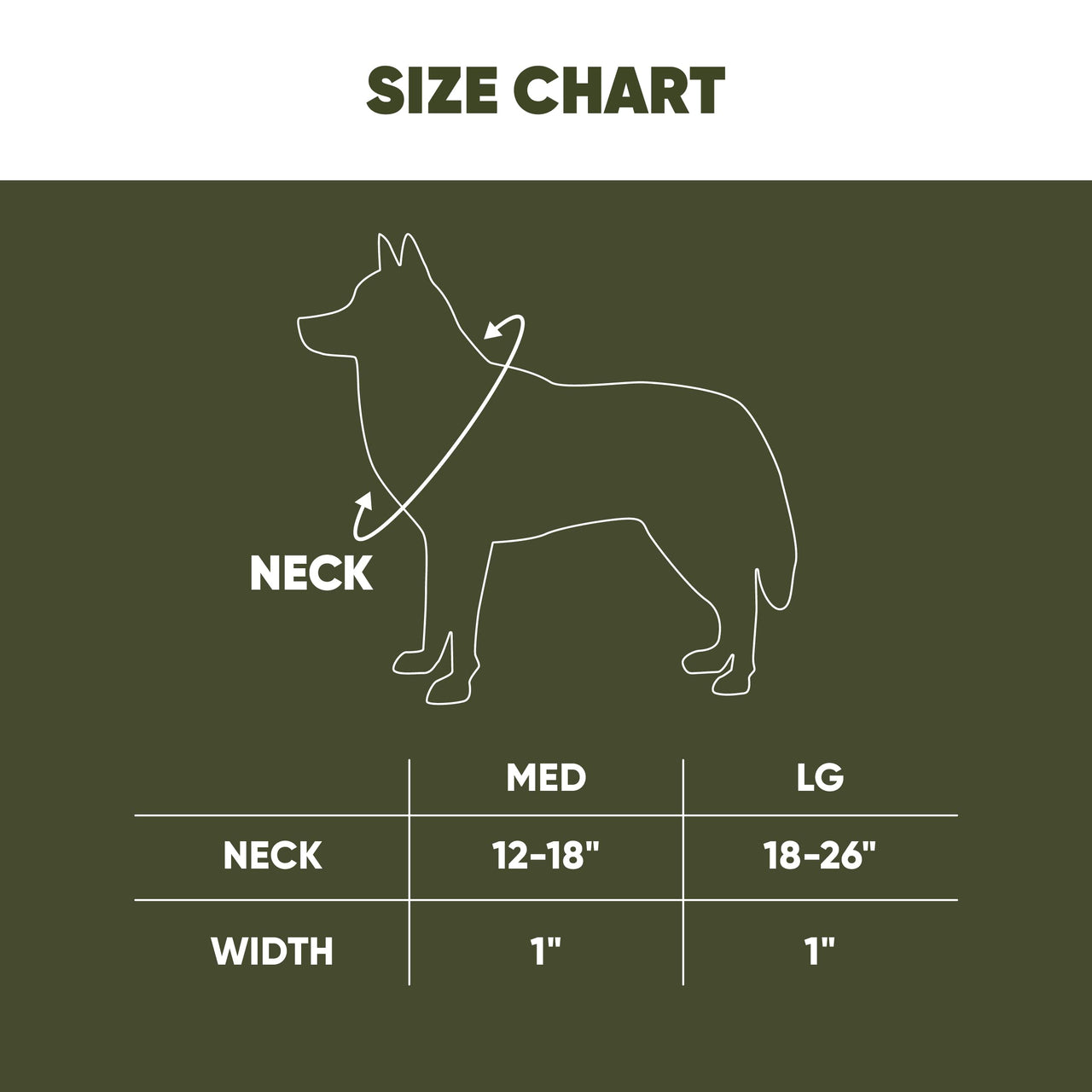 Hooey Nomad Dog Collar, Durable Polyester Webbing Collar with Graphic-Inspired Prints, Western Floral, Medium