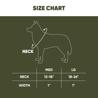 Hooey Nomad Dog Collar, Durable Polyester Webbing Collar with Graphic-Inspired Prints, Western Floral, Medium