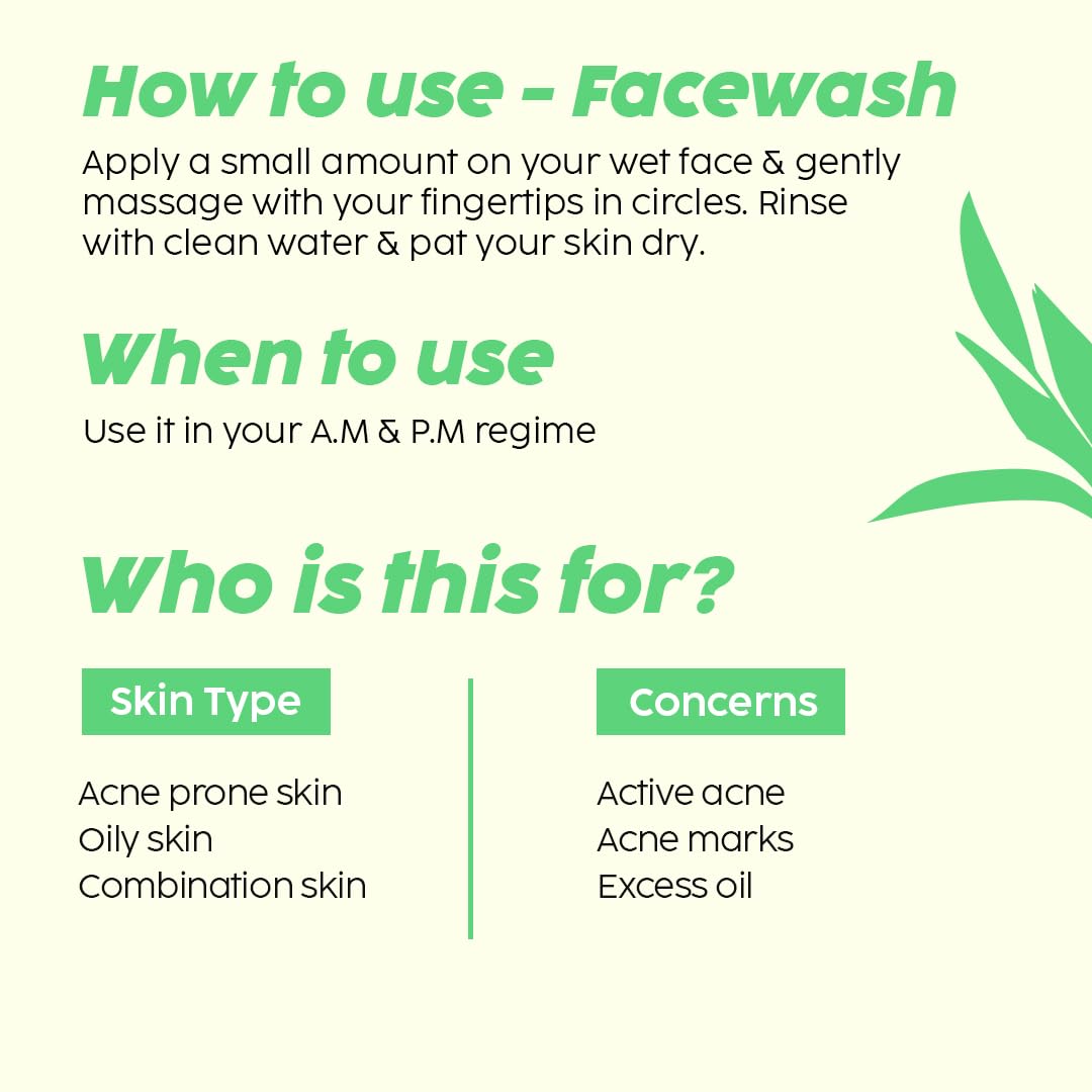 PLIX THE PLANT FIX Jamun Cleanser & 10% Niacinamide Acid Serum With Smoothie Moisturizer Combo l Detoxifies The Skin l Reduces Acne Marks l Fades Blemishes l All Skin Types