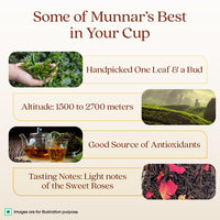 1868 by Tata Tea Green with Rose Tea Bags, Green Tea Leaves and Rose Petals, Green Tea Rich in Antioxidants, 15 Tea Bags